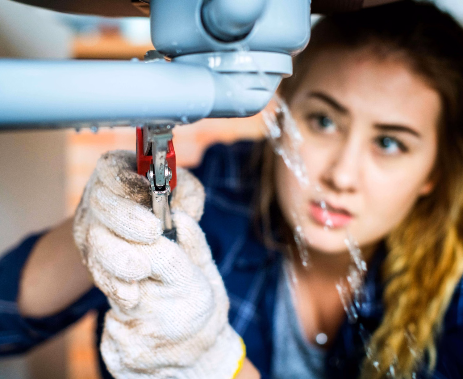 Plumbing expertise and home fixtures